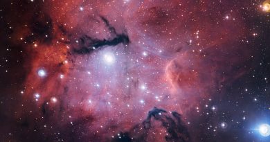 Estrellas jóvenes que esculpen y destruyen el lugar donde se formaron