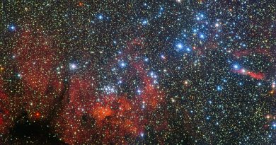 Las jóvenes estrellas del cúmulo NGC 3590 en la constelación de Carina