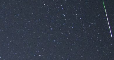 Foto de una perseida desde Sezana, Eslovenia