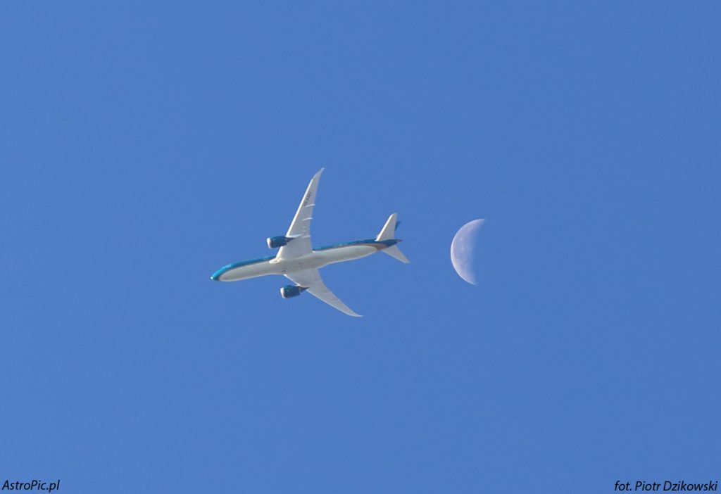 Piotr-Dzikowski-crop-2_1472306675