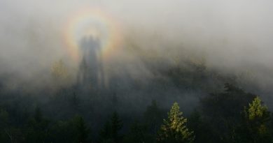 Foto de un espectro de Brocken y una gloria desde Polonia