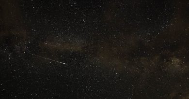 Una perseida y la Vía Láctea desde Carolina del Norte, EE. UU.