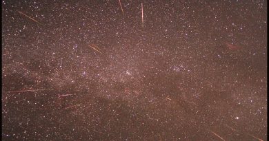 Imagen de perseidas y la Vía Láctea desde La Palma (España)