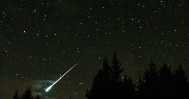 Imagen del bólido de una perseida desde Bulgaria