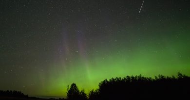 Auroras boreales y un meteoro desde Alberta, Canadá