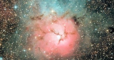 Imagen de la Nebulosa Trífida (M20)