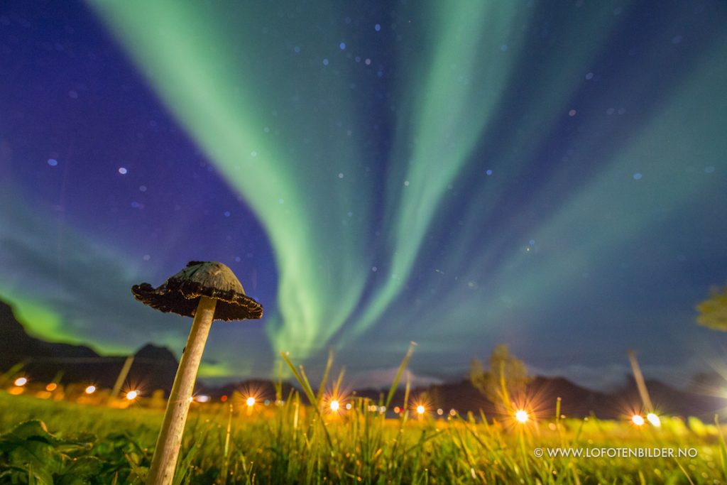Eric-Fokke-Lofoten-noorderlicht-3553_1475008414