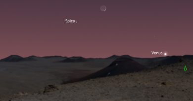 Esta noche se podrá ver la conjunción de la Luna y la estrella Spica