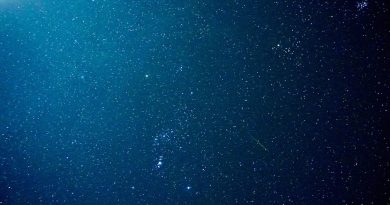 La constelación de Orión, una oriónida y las Pléyades desde Texas