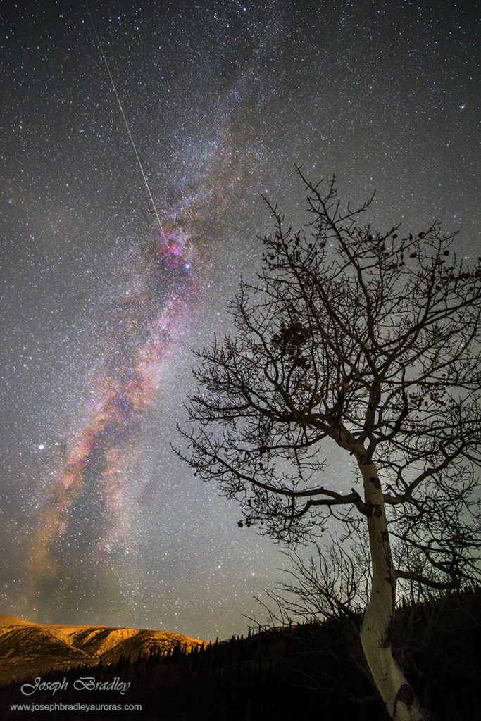 Joseph-Bradley-_MG_3752_1477072641