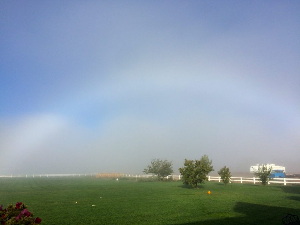 Arco de niebla desde Washington, Estados Unidos