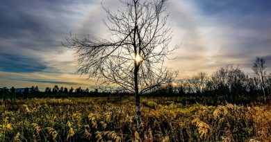 Halo solar desde Kiruna, Suecia