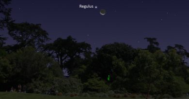 La conjunción de la Luna y Regulus será visible la madrugada del 25 de octubre
