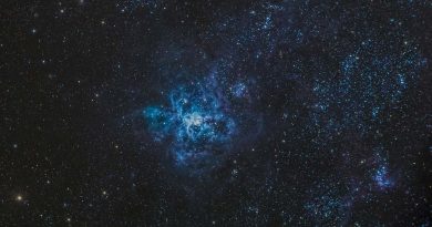 Imagen de la Nebulosa de la Tarántula (NGC 2070)