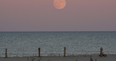 La salida de la Luna desde la isla Assateague (Estados Unidos)