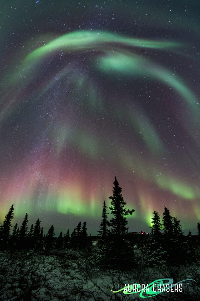 marketa-murray-img_8678-edit_1478703155