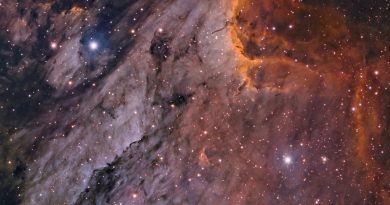 Imagen de la Nebulosa Pelícano (IC 5067)