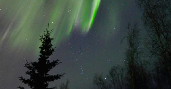 Auroras boreales y la constelación de Orión desde Alaska