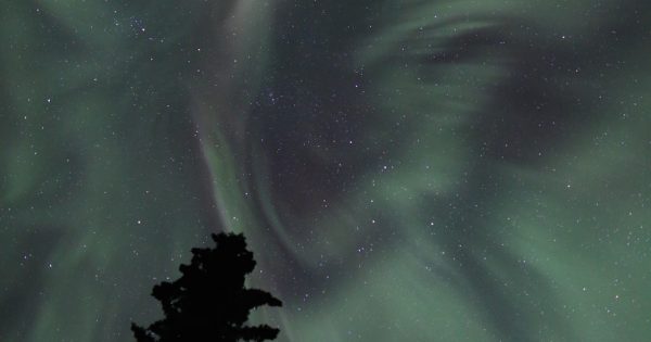 Auroras boreales desde Fairbanks, Alaska