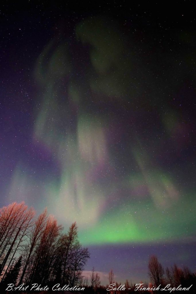 b-art-braafhart-bartdsc05605acfn2_1481466016