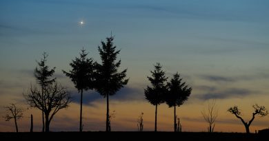 Venus al atardecer desde Bierzgłowo, Polonia