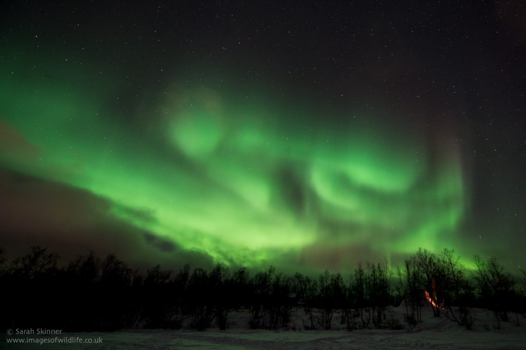 Auroras boreales desde Abisko, Suecia