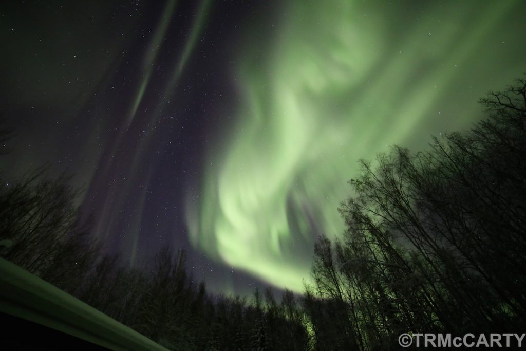 thomas-mccarty-img_9445_1482228850