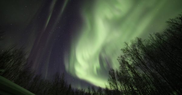Auroras boreales desde Fairbanks, Alaska