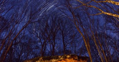 Rastro de estrellas desde Ternant, Francia