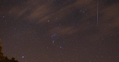 La constelación de Orión, una cuadrántida y las Pléyades