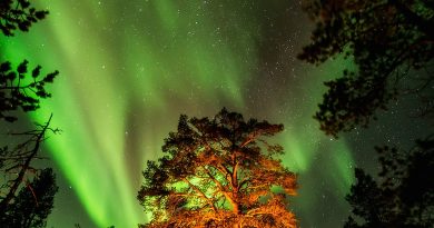 Auroras boreales desde la Laponia finlandesa