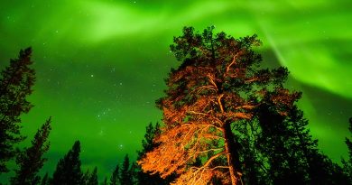 Auroras boreales y la constelación de Orión desde Finlandia