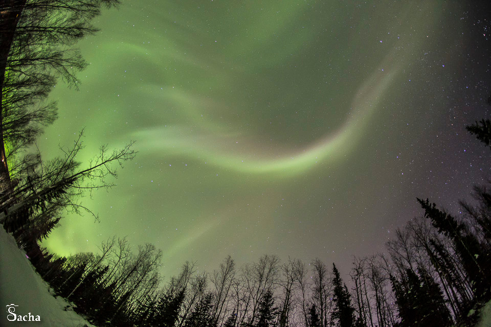 Auroras boreales desde Alaska, Estados Unidos