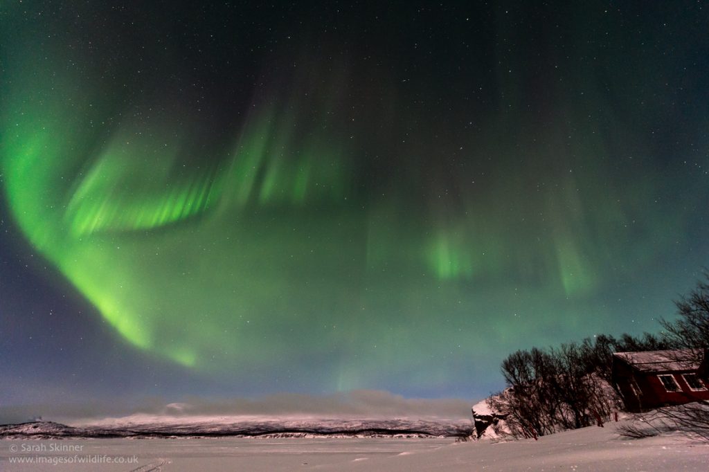 Auroras boreales desde Abisko, Suecia