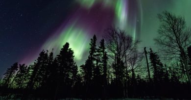 Auroras boreales desde Fairbanks, Alaska