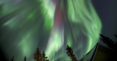 Auroras boreales desde Delta Junction, Alaska