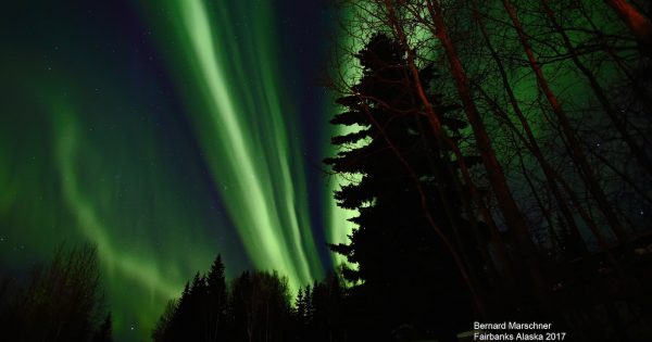 Auroras boreales desde Fairbanks, Alaska
