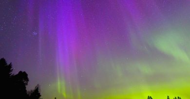 Auroras boreales y las Pléyades desde el oriente de Finlandia