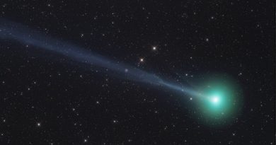 Foto del Cometa C/2015 ER61 (PANSTARRS) desde Namibia