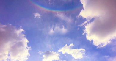 Arco circuncenital desde Nebraska, Estados Unidos