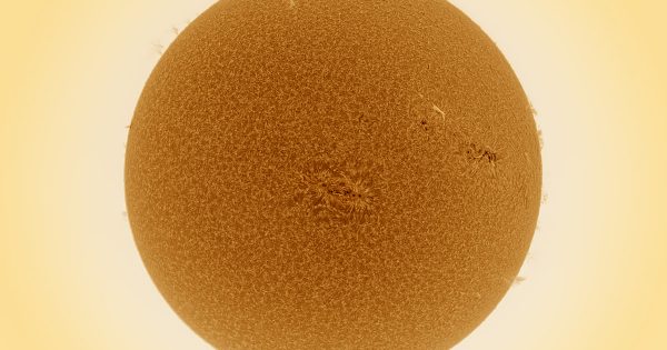 Foto del Sol y las regiones activas 2644 y 2645