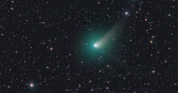 Foto del Cometa C/2015 V2 (Johnson)