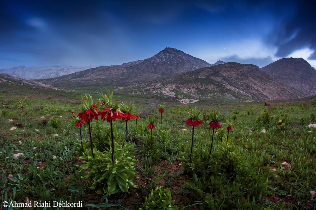 La estrella Sirius desde Shahr-e Kord, Irán