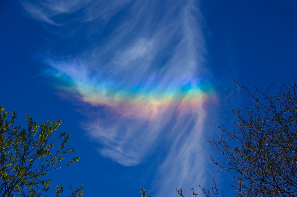 Arco circuncenital desde Trosa, Suecia