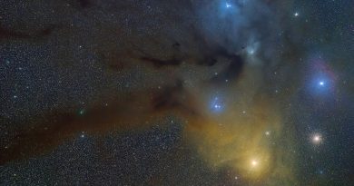 Imagen del Cometa 71P/Clark y la estrella Antares