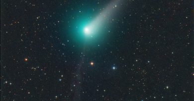 Foto del Cometa C/2015 V2 (Johnson) tomada el 17 de mayo