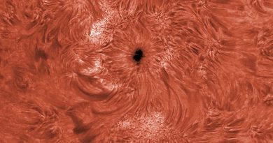 Imagen de la región activa 2664 el Sol