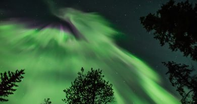 Auroras boreales desde la provincia de Alberta, Canadá