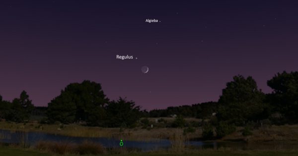 Esta noche se podrá ver la conjunción de la Luna y Regulus