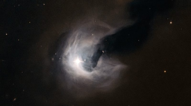 Una nebulosa de emisión y una nebulosa oscura en la constelación de Perseo